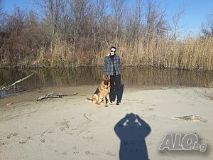 image_11