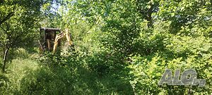 image_11