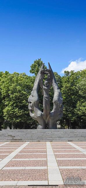 image_7