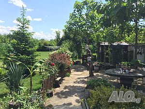 image_12