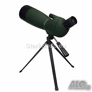 image_3