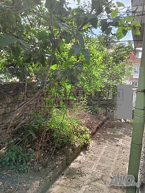 image_14