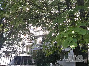 image_14