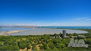 image_15