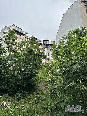 image_4