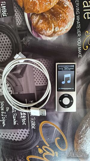 Apple iPod Nano 5th Generation A1320 8 GB