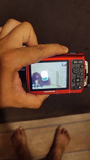 image_4