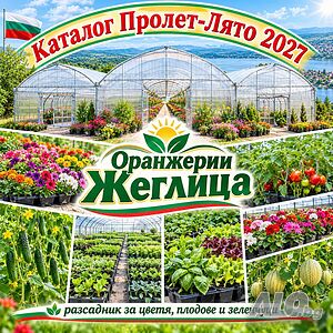 Каталог разсади Пролет-Лято 2027