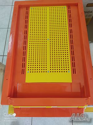 image_6