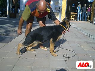 image_5
