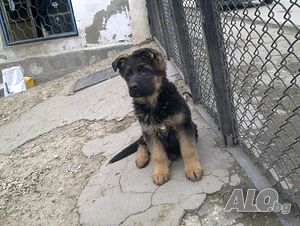 image_10