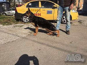 image_11