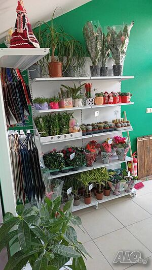 image_3