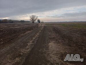 image_4