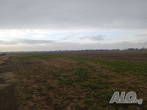 image_7