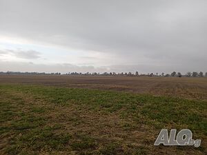 image_8