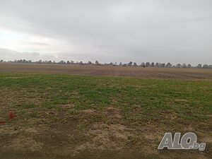 image_9