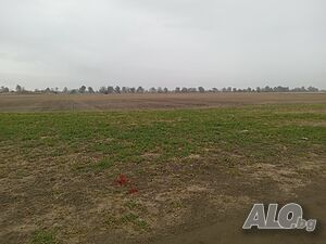 image_10