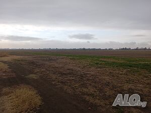 image_11