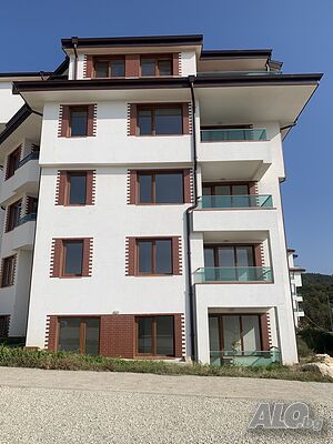 image_6