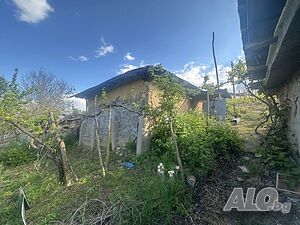 image_12