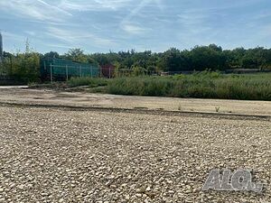 image_6