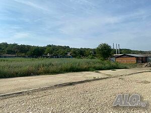 image_7