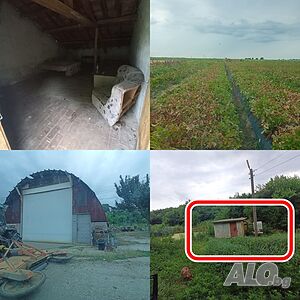 image_6