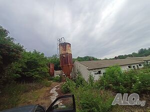 image_11