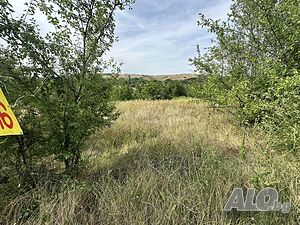 image_7