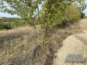 image_12