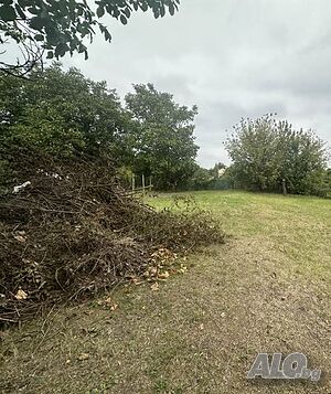 image_12