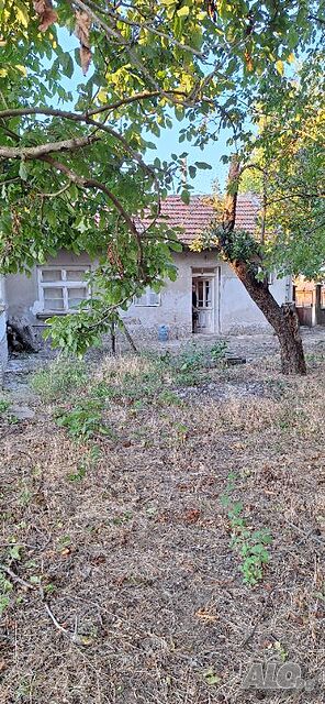 image_12