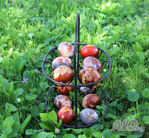 image_8