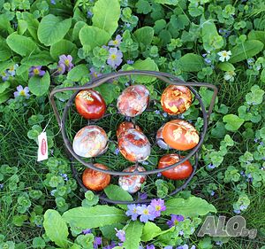 image_9