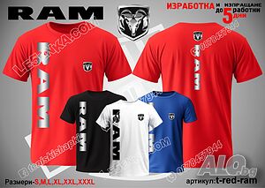 image_11