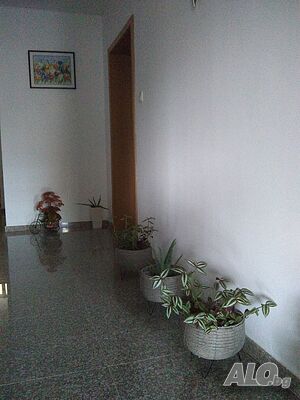 image_35