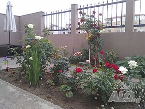 image_36