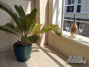 image_53