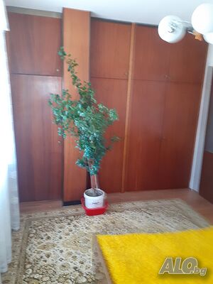 image_5