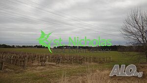 image_6
