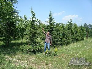 image_4