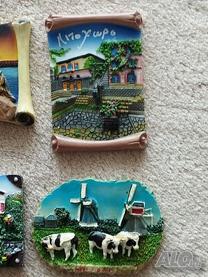 image_8
