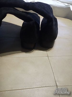 image_2