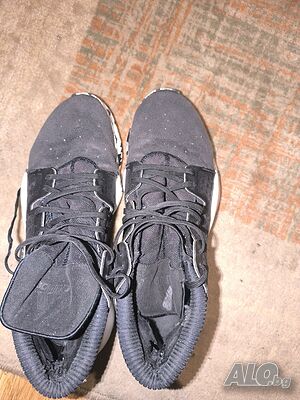 image_5
