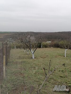 Парцел в с. Николово
