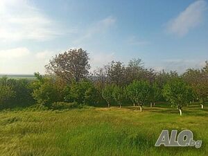 Продажба Парцел гр. Русе - с. Червена вода 3279m²