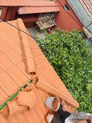image_15