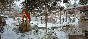 image_2