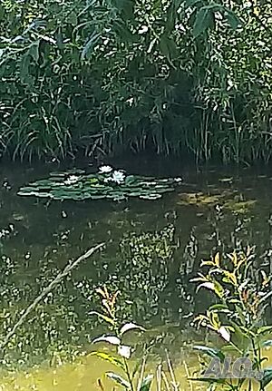 image_14